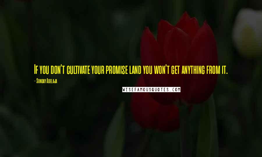Sunday Adelaja Quotes: If you don't cultivate your promise land you won't get anything from it.