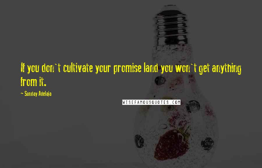 Sunday Adelaja Quotes: If you don't cultivate your promise land you won't get anything from it.