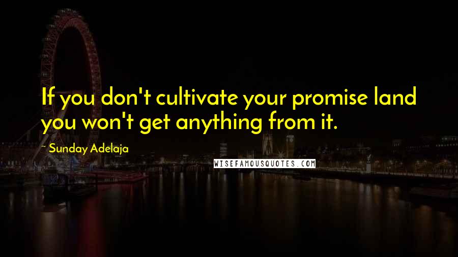 Sunday Adelaja Quotes: If you don't cultivate your promise land you won't get anything from it.