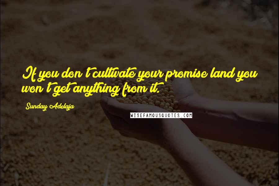 Sunday Adelaja Quotes: If you don't cultivate your promise land you won't get anything from it.
