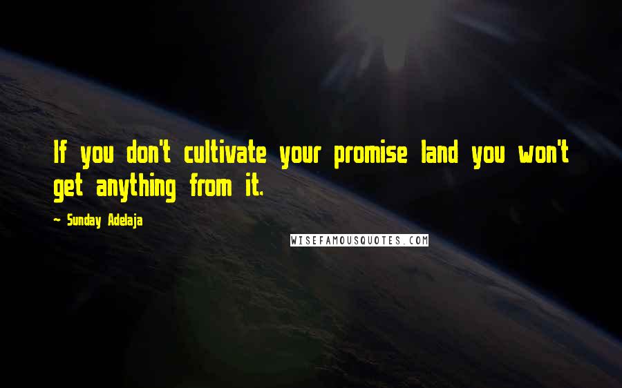 Sunday Adelaja Quotes: If you don't cultivate your promise land you won't get anything from it.