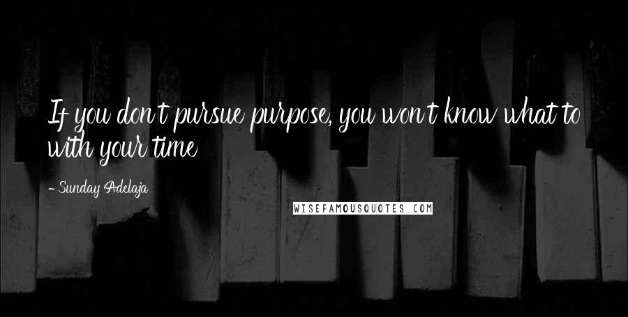 Sunday Adelaja Quotes: If you don't pursue purpose, you won't know what to with your time