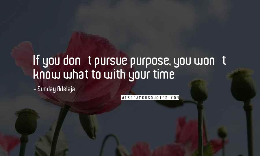 Sunday Adelaja Quotes: If you don't pursue purpose, you won't know what to with your time