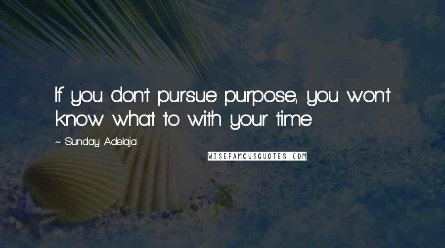 Sunday Adelaja Quotes: If you don't pursue purpose, you won't know what to with your time