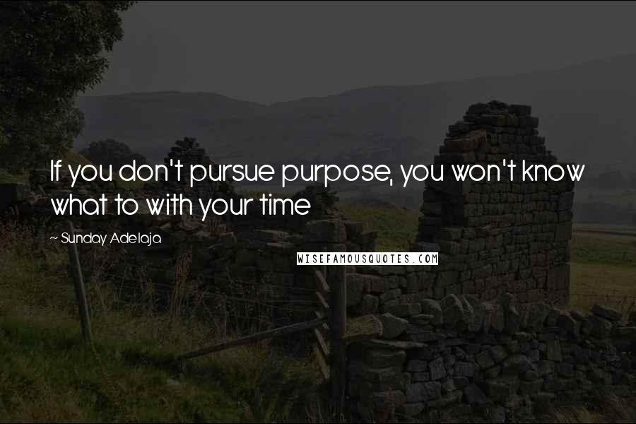 Sunday Adelaja Quotes: If you don't pursue purpose, you won't know what to with your time