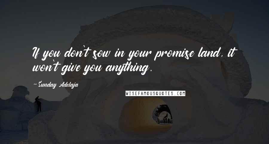 Sunday Adelaja Quotes: If you don't sow in your promise land, it won't give you anything.