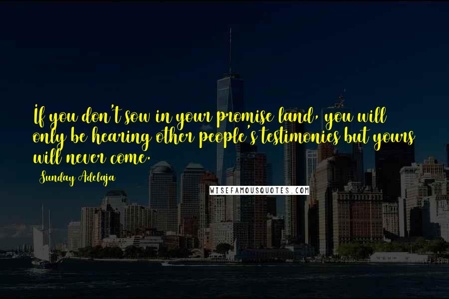 Sunday Adelaja Quotes: If you don't sow in your promise land, you will only be hearing other people's testimonies but yours will never come.