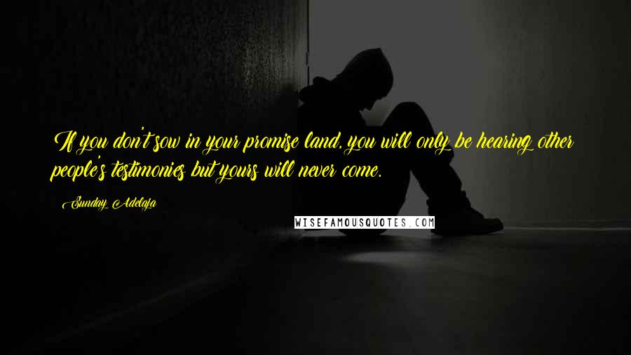 Sunday Adelaja Quotes: If you don't sow in your promise land, you will only be hearing other people's testimonies but yours will never come.