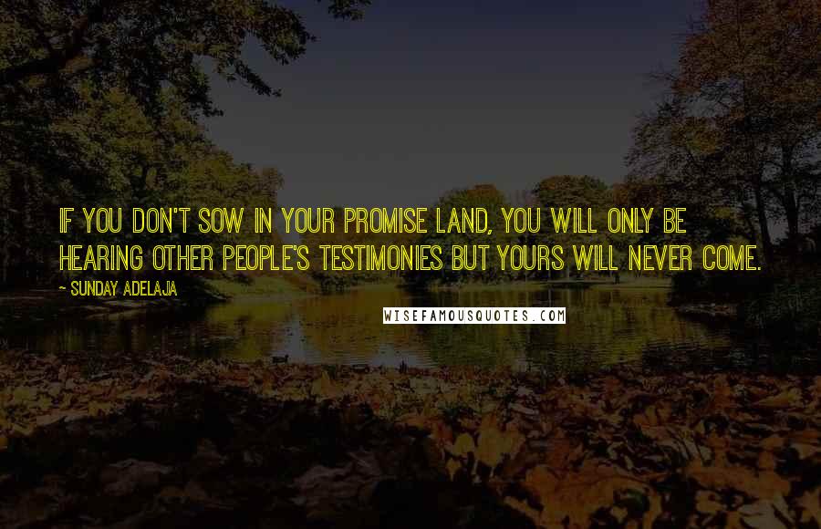 Sunday Adelaja Quotes: If you don't sow in your promise land, you will only be hearing other people's testimonies but yours will never come.