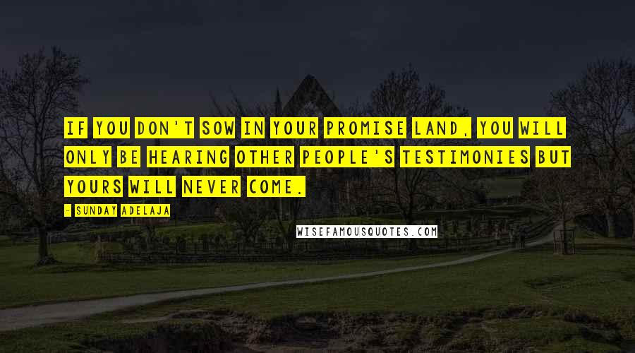 Sunday Adelaja Quotes: If you don't sow in your promise land, you will only be hearing other people's testimonies but yours will never come.