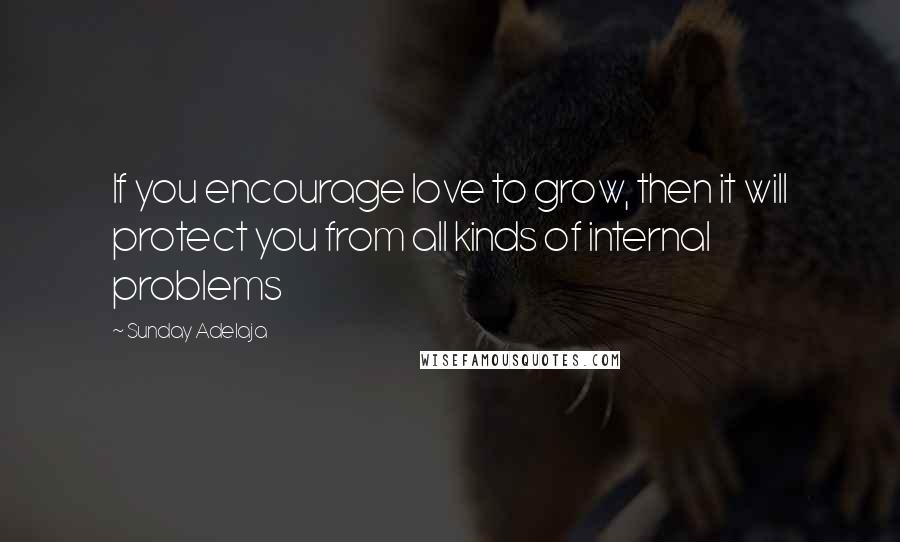 Sunday Adelaja Quotes: If you encourage love to grow, then it will protect you from all kinds of internal problems