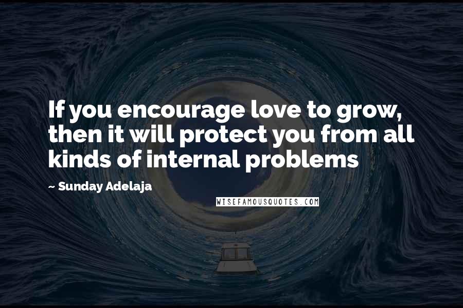 Sunday Adelaja Quotes: If you encourage love to grow, then it will protect you from all kinds of internal problems