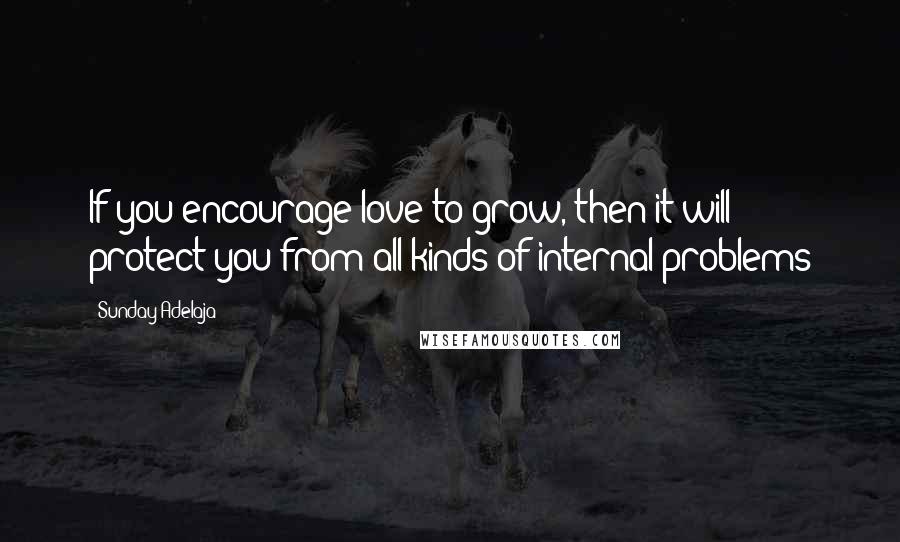 Sunday Adelaja Quotes: If you encourage love to grow, then it will protect you from all kinds of internal problems