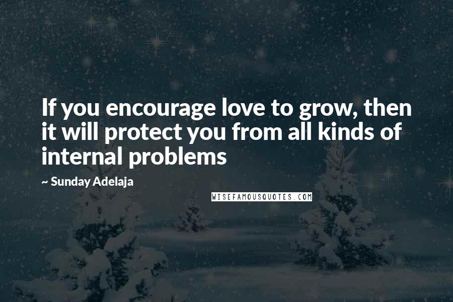 Sunday Adelaja Quotes: If you encourage love to grow, then it will protect you from all kinds of internal problems