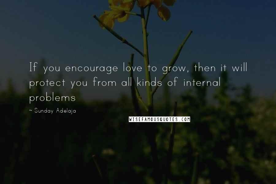 Sunday Adelaja Quotes: If you encourage love to grow, then it will protect you from all kinds of internal problems