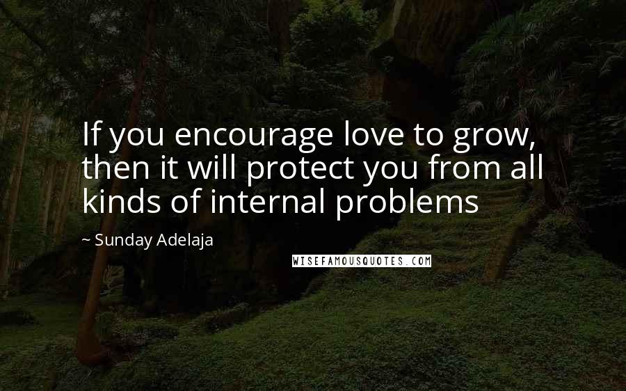 Sunday Adelaja Quotes: If you encourage love to grow, then it will protect you from all kinds of internal problems