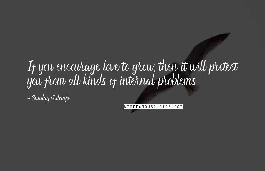 Sunday Adelaja Quotes: If you encourage love to grow, then it will protect you from all kinds of internal problems