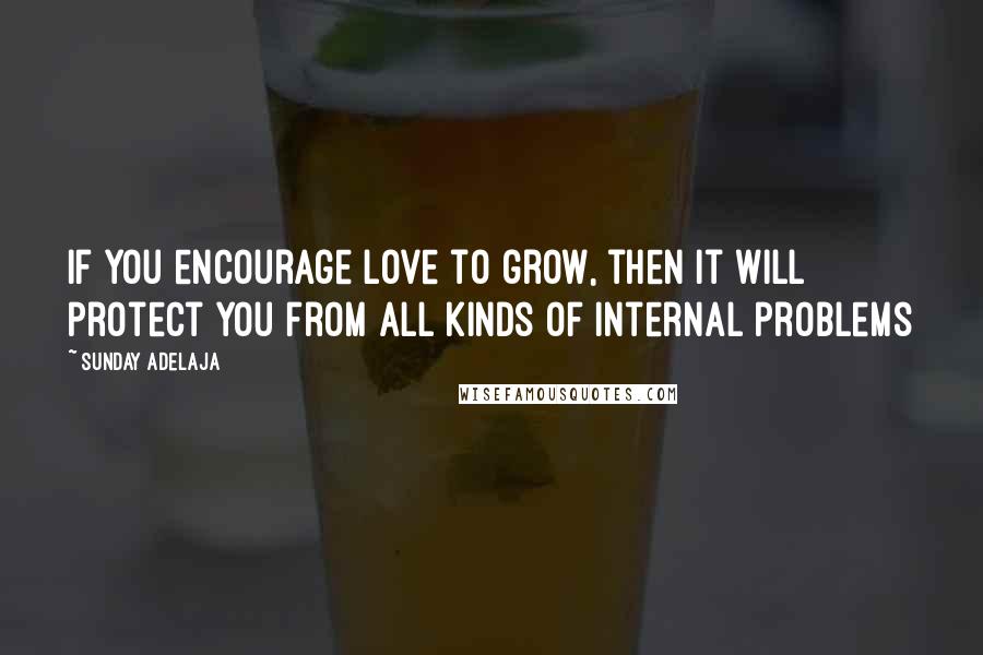 Sunday Adelaja Quotes: If you encourage love to grow, then it will protect you from all kinds of internal problems
