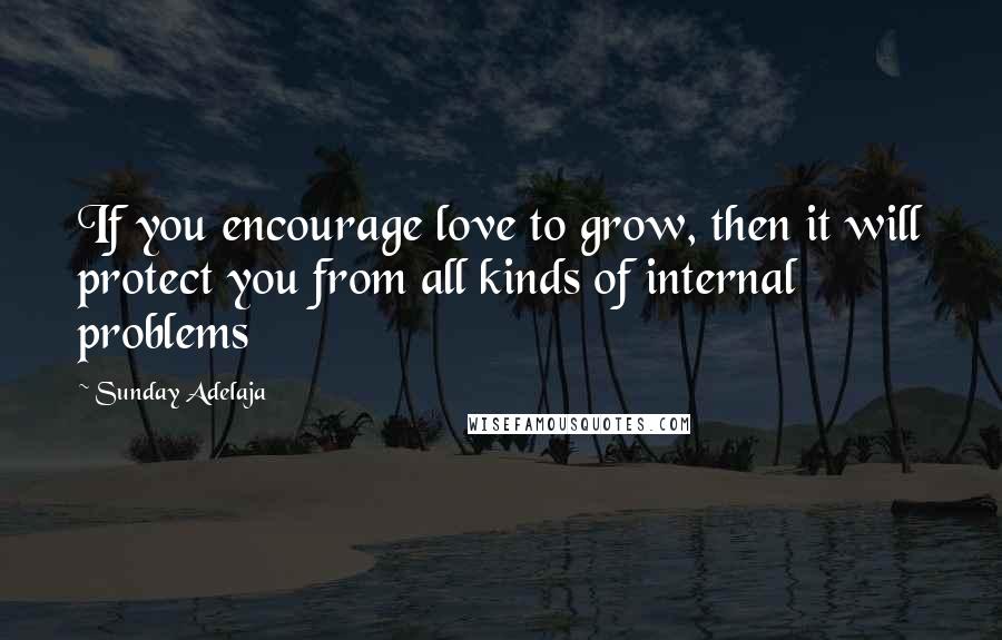 Sunday Adelaja Quotes: If you encourage love to grow, then it will protect you from all kinds of internal problems