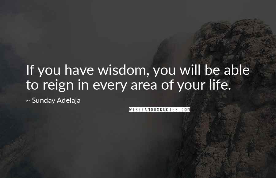 Sunday Adelaja Quotes: If you have wisdom, you will be able to reign in every area of your life.
