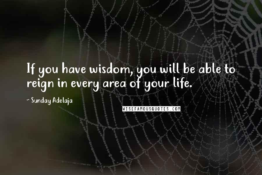 Sunday Adelaja Quotes: If you have wisdom, you will be able to reign in every area of your life.