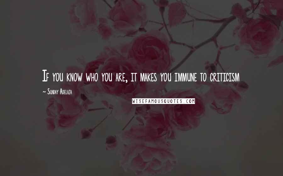 Sunday Adelaja Quotes: If you know who you are, it makes you immune to criticism