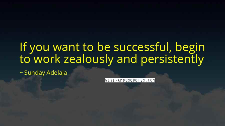 Sunday Adelaja Quotes: If you want to be successful, begin to work zealously and persistently