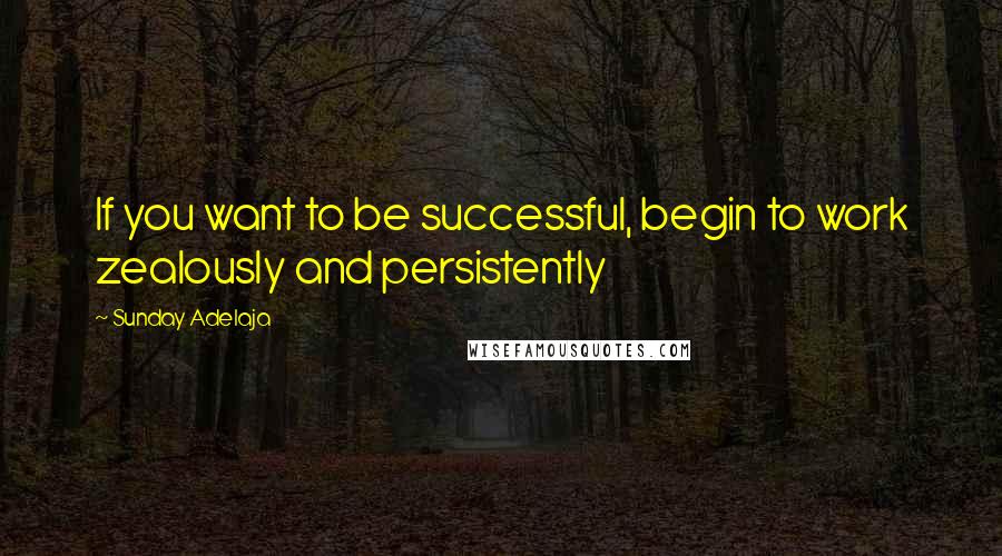 Sunday Adelaja Quotes: If you want to be successful, begin to work zealously and persistently
