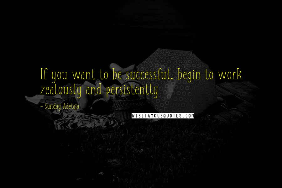 Sunday Adelaja Quotes: If you want to be successful, begin to work zealously and persistently