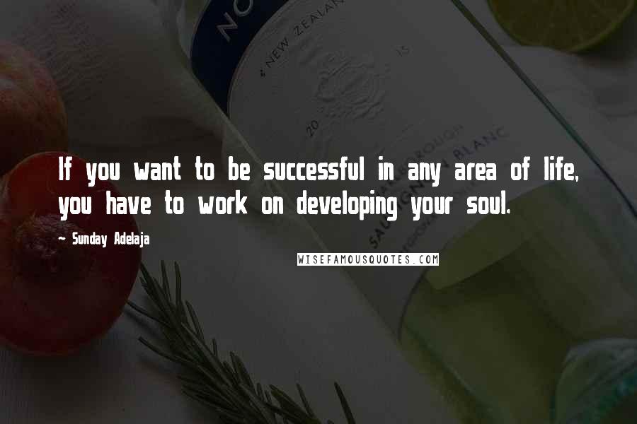 Sunday Adelaja Quotes: If you want to be successful in any area of life, you have to work on developing your soul.