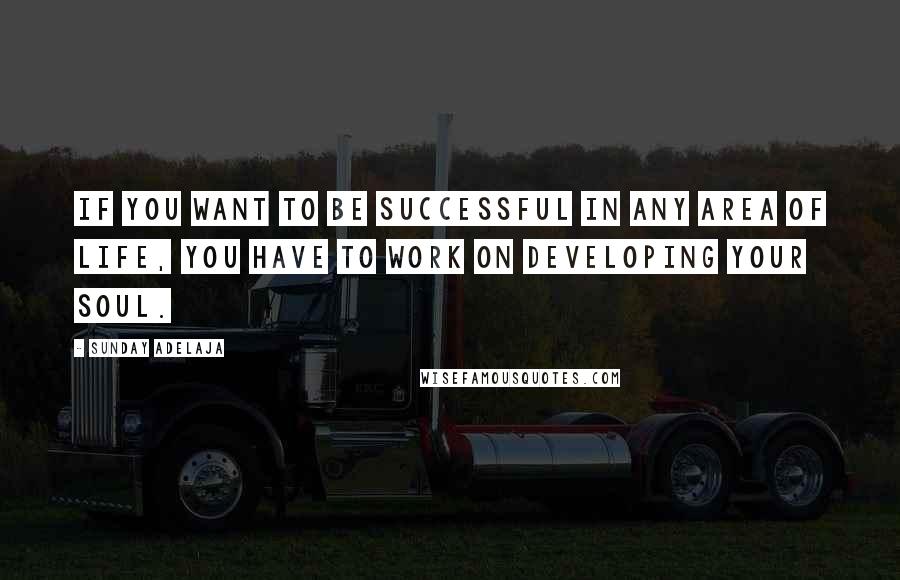 Sunday Adelaja Quotes: If you want to be successful in any area of life, you have to work on developing your soul.