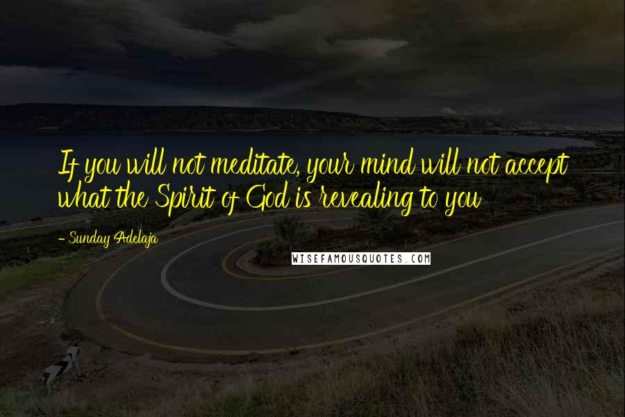 Sunday Adelaja Quotes: If you will not meditate, your mind will not accept what the Spirit of God is revealing to you