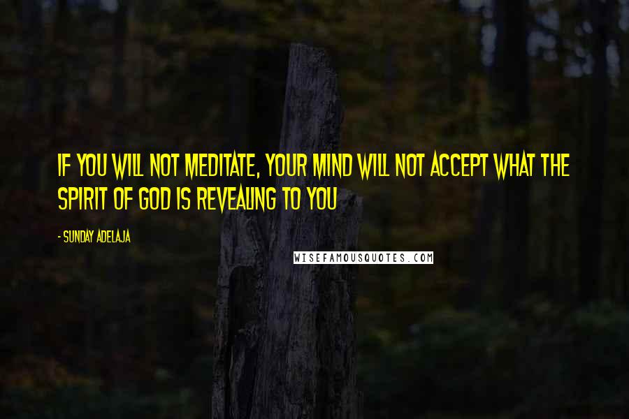 Sunday Adelaja Quotes: If you will not meditate, your mind will not accept what the Spirit of God is revealing to you