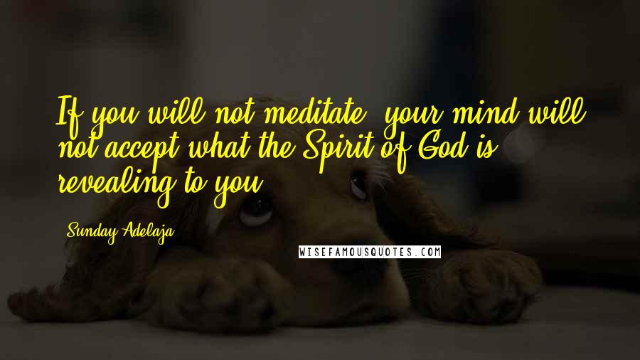 Sunday Adelaja Quotes: If you will not meditate, your mind will not accept what the Spirit of God is revealing to you