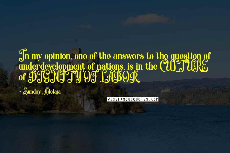 Sunday Adelaja Quotes: In my opinion, one of the answers to the question of underdevelopment of nations, is in the CULTURE of DIGNITY OF LABOR.