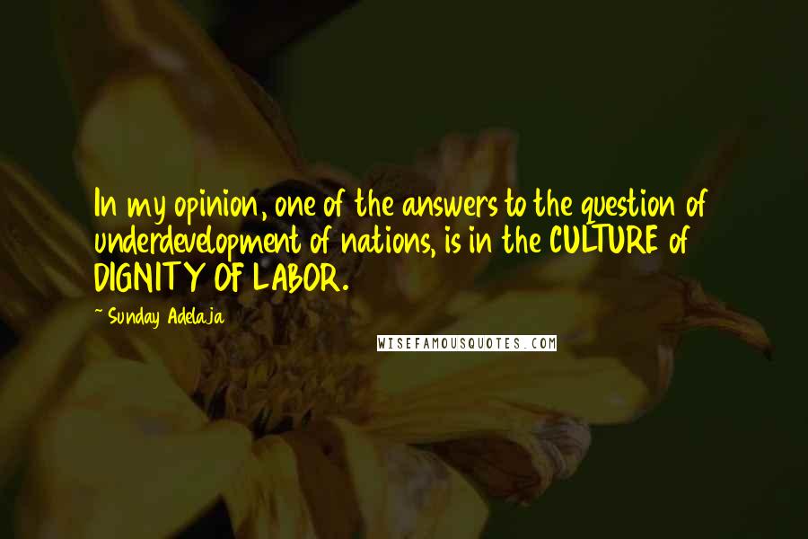 Sunday Adelaja Quotes: In my opinion, one of the answers to the question of underdevelopment of nations, is in the CULTURE of DIGNITY OF LABOR.