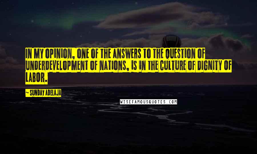 Sunday Adelaja Quotes: In my opinion, one of the answers to the question of underdevelopment of nations, is in the CULTURE of DIGNITY OF LABOR.