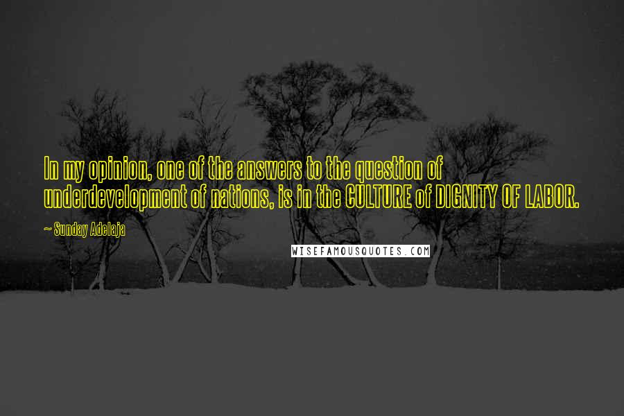 Sunday Adelaja Quotes: In my opinion, one of the answers to the question of underdevelopment of nations, is in the CULTURE of DIGNITY OF LABOR.