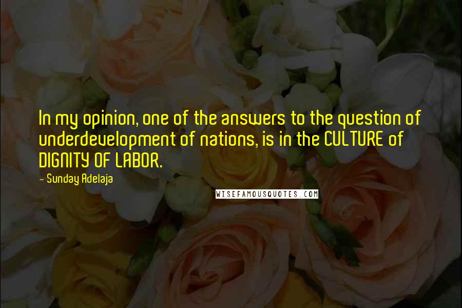 Sunday Adelaja Quotes: In my opinion, one of the answers to the question of underdevelopment of nations, is in the CULTURE of DIGNITY OF LABOR.