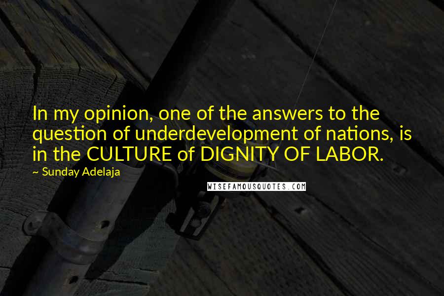 Sunday Adelaja Quotes: In my opinion, one of the answers to the question of underdevelopment of nations, is in the CULTURE of DIGNITY OF LABOR.