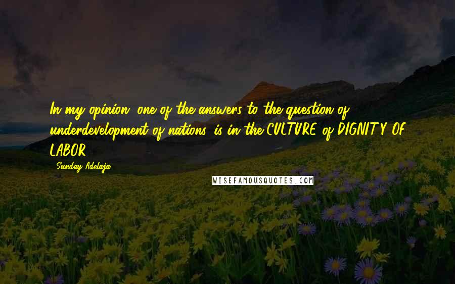 Sunday Adelaja Quotes: In my opinion, one of the answers to the question of underdevelopment of nations, is in the CULTURE of DIGNITY OF LABOR.