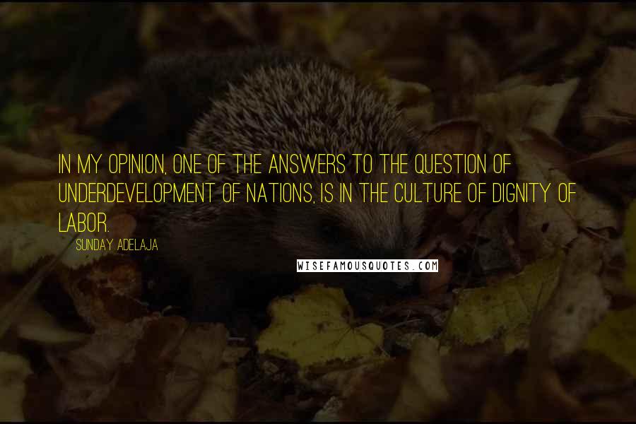 Sunday Adelaja Quotes: In my opinion, one of the answers to the question of underdevelopment of nations, is in the CULTURE of DIGNITY OF LABOR.