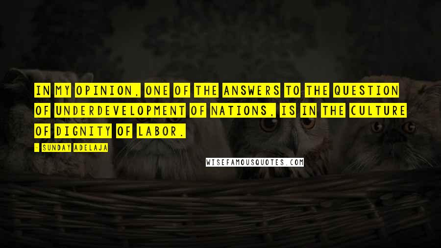 Sunday Adelaja Quotes: In my opinion, one of the answers to the question of underdevelopment of nations, is in the CULTURE of DIGNITY OF LABOR.