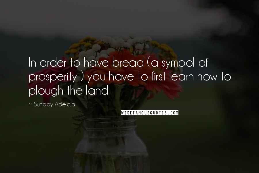 Sunday Adelaja Quotes: In order to have bread (a symbol of prosperity ) you have to first learn how to plough the land