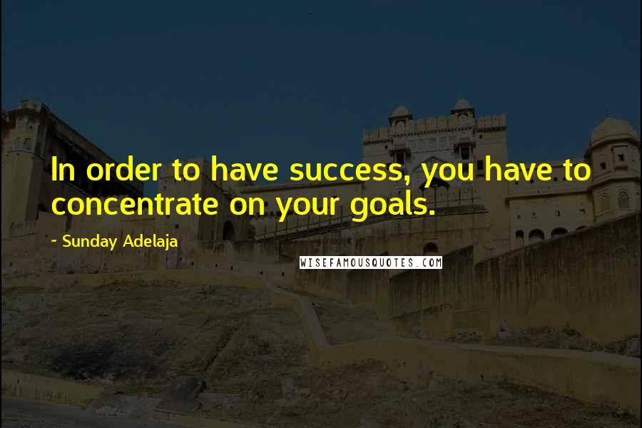 Sunday Adelaja Quotes: In order to have success, you have to concentrate on your goals.