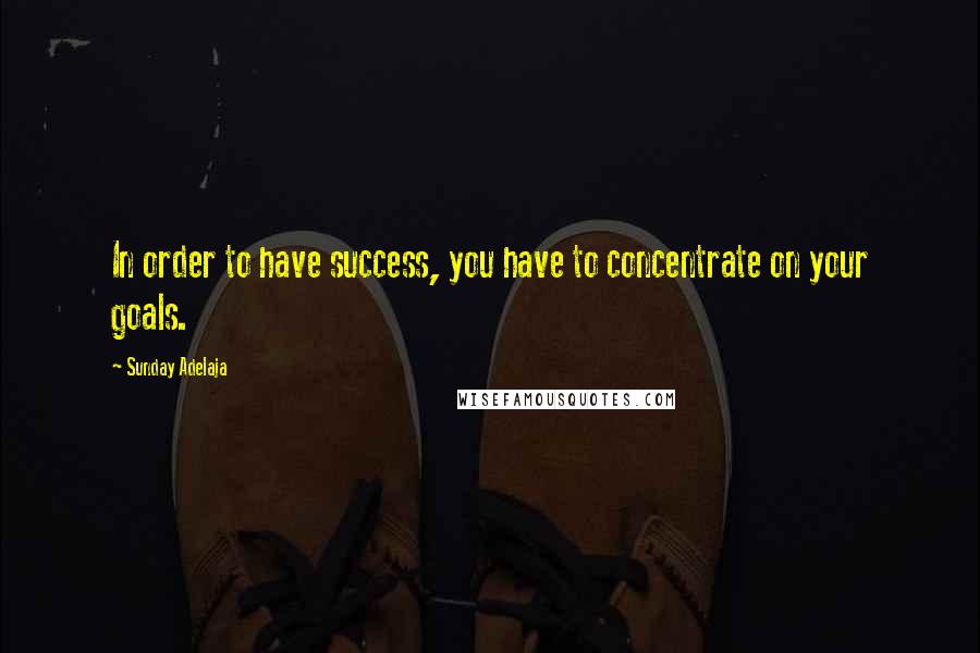 Sunday Adelaja Quotes: In order to have success, you have to concentrate on your goals.