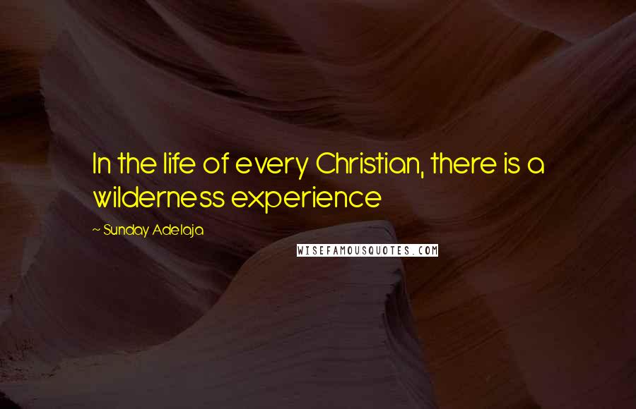 Sunday Adelaja Quotes: In the life of every Christian, there is a wilderness experience