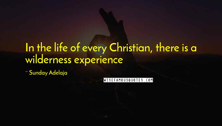 Sunday Adelaja Quotes: In the life of every Christian, there is a wilderness experience
