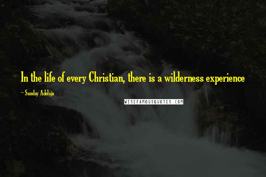 Sunday Adelaja Quotes: In the life of every Christian, there is a wilderness experience