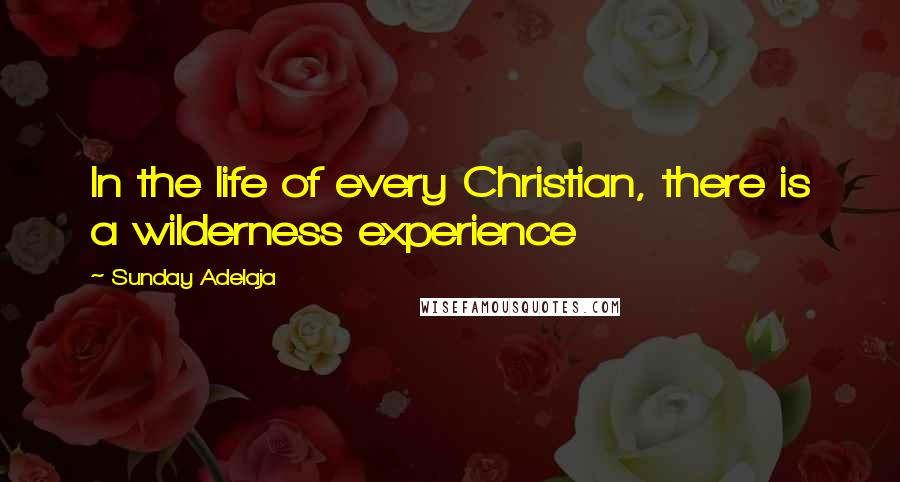 Sunday Adelaja Quotes: In the life of every Christian, there is a wilderness experience